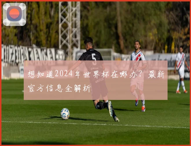 想知道2024年世界杯在哪办？最新官方信息全解析