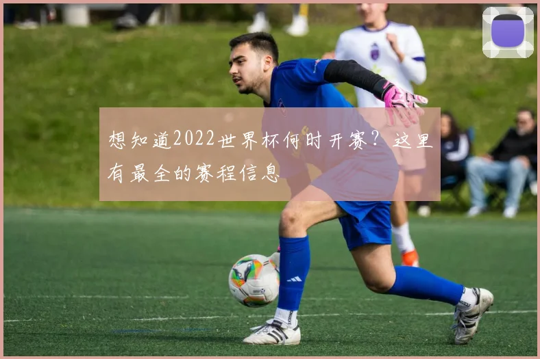 想知道2022世界杯何时开赛？这里有最全的赛程信息