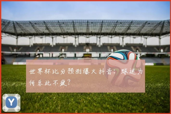 世界杯比分预测爆火抖音：球迷为何乐此不疲？