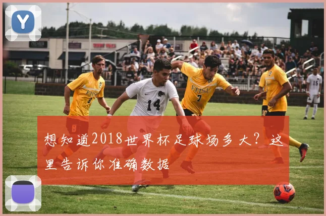 想知道2018世界杯足球场多大？这里告诉你准确数据