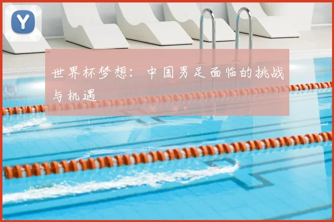 世界杯梦想：中国男足面临的挑战与机遇