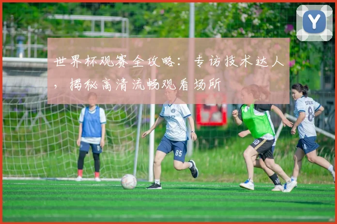 世界杯观赛全攻略：专访技术达人，揭秘高清流畅观看场所